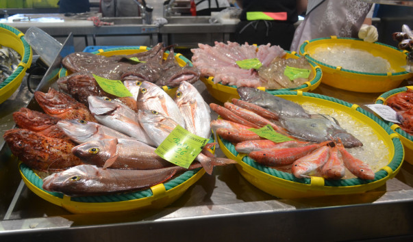 palamos_25