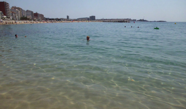 Sant_Antoni_30