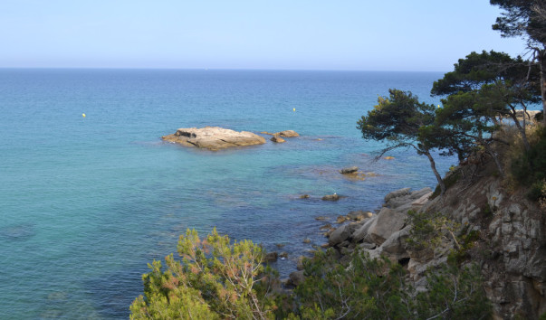 Sant_Antoni_35