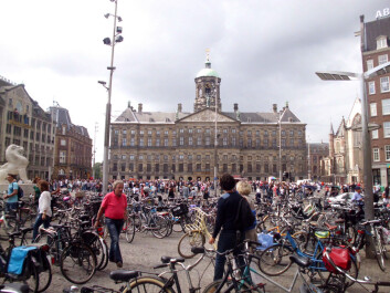photo 1147243