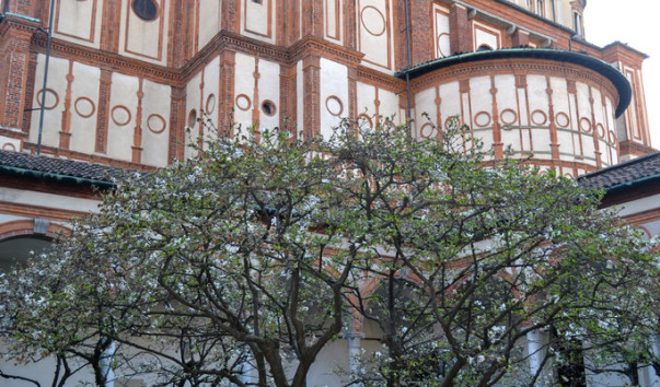Milan_san_Maria_della_Gracie_02