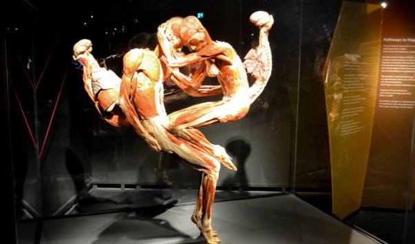 Berlin_Menschen_museum_23