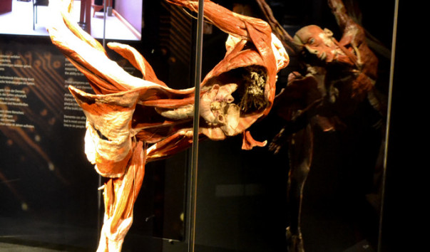 Berlin_Menschen_museum_21