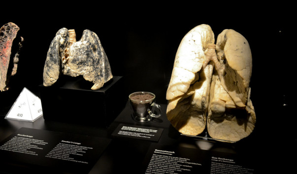 Berlin_Menschen_museum_19