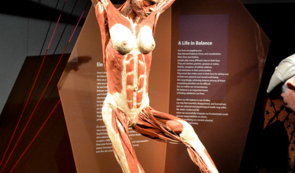 Berlin_Menschen_museum_18