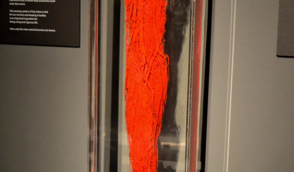 Berlin_Menschen_museum_17