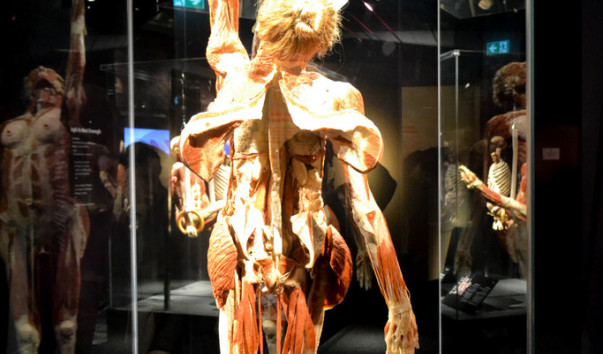 Berlin_Menschen_museum_13