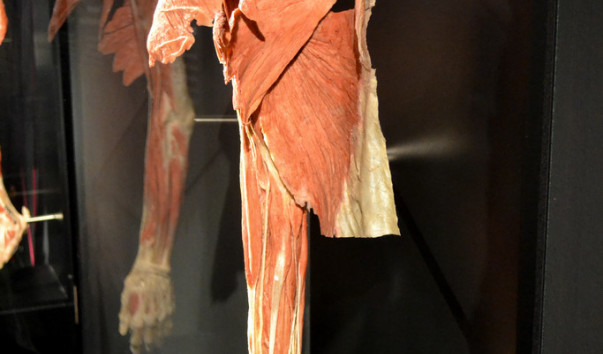 Berlin_Menschen_museum_06