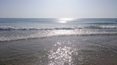 photo 1370379