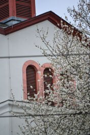 photo 1764706