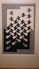 photo 2050111