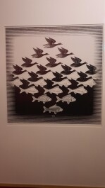 photo 2050112