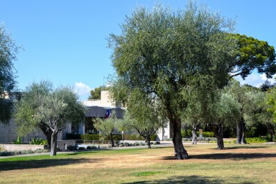 photo 2073616