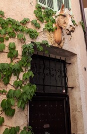 photo 2074193