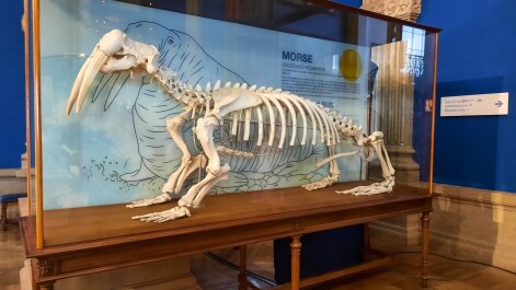 photo 2074302