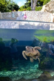 photo 2074305