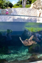 photo 2074306