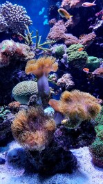 photo 2074331
