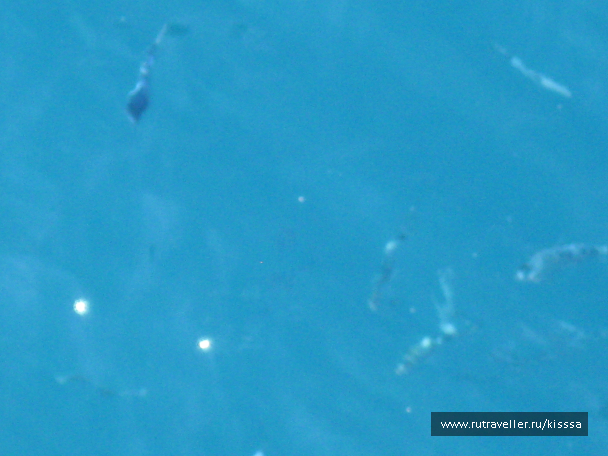 photo 674761