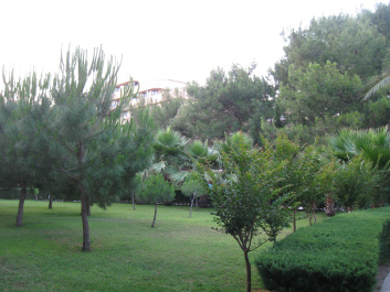 photo 389362