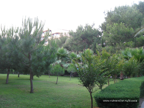 photo 389362