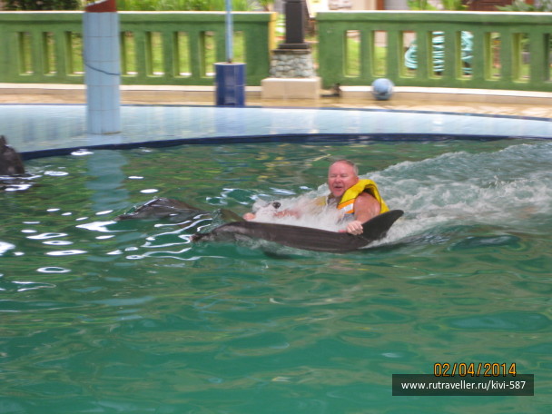 photo 1301777