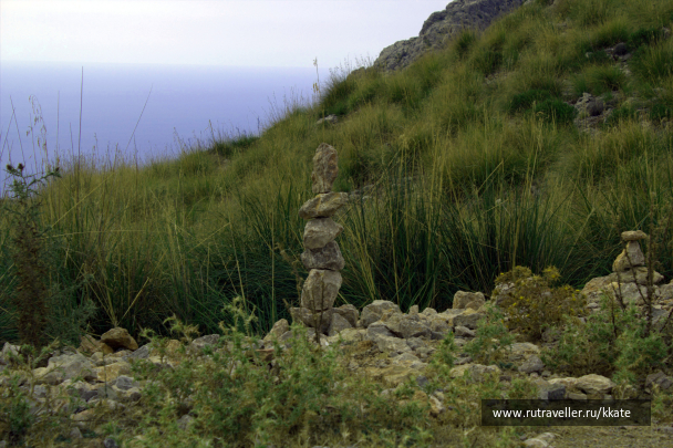 photo 1437511