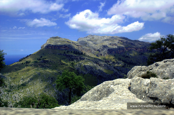 photo 1437520