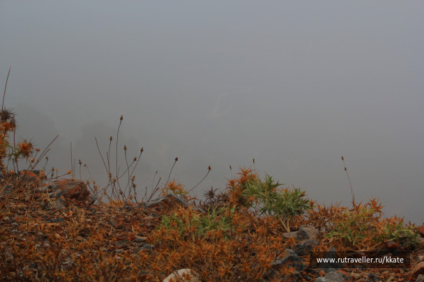 photo 1438477