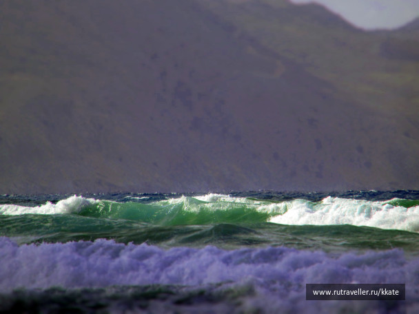 photo 1438491
