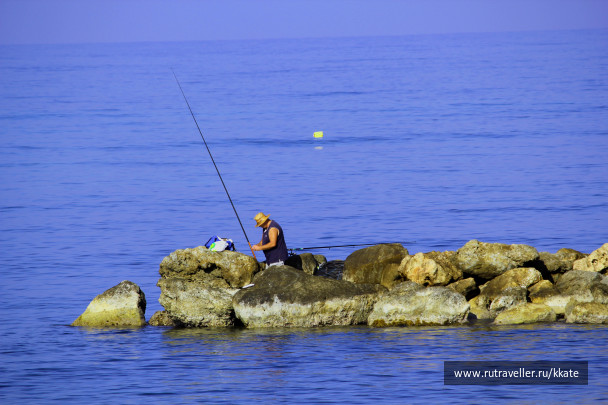 photo 1438494
