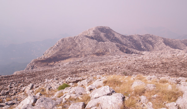 P8262422