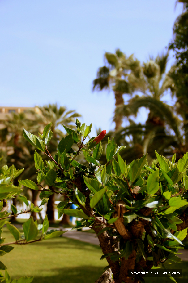 photo 730072
