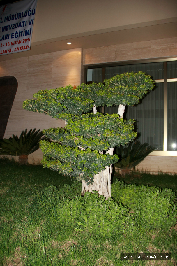 photo 730121