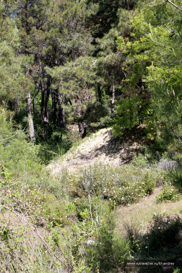 photo 730134