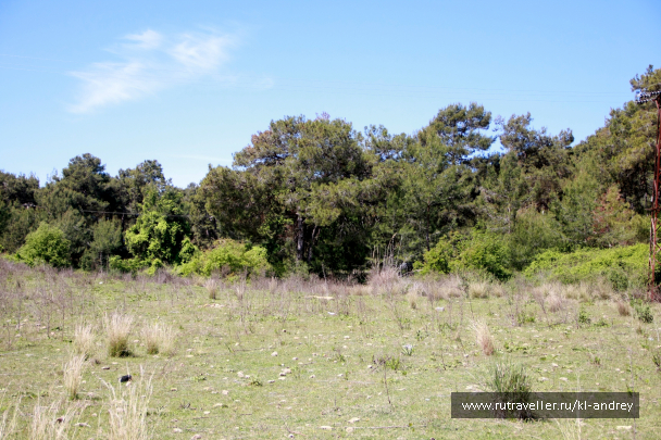 photo 730149