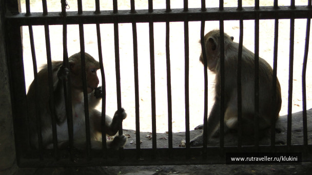 photo 152981