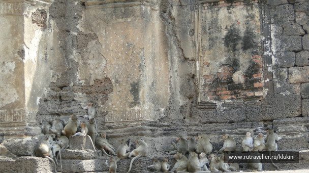 photo 152983