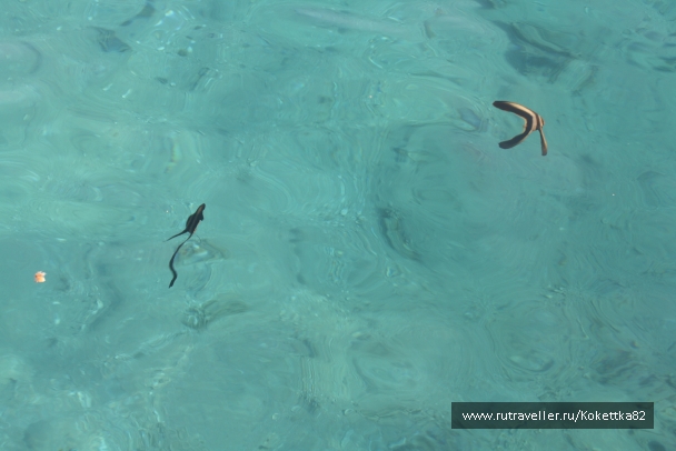 photo 828761
