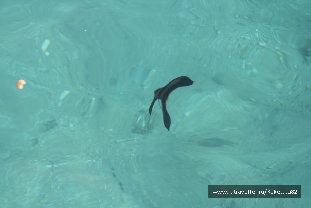 photo 828762