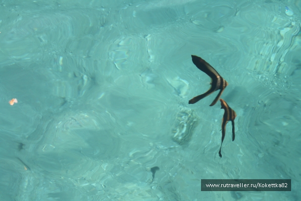 photo 828763