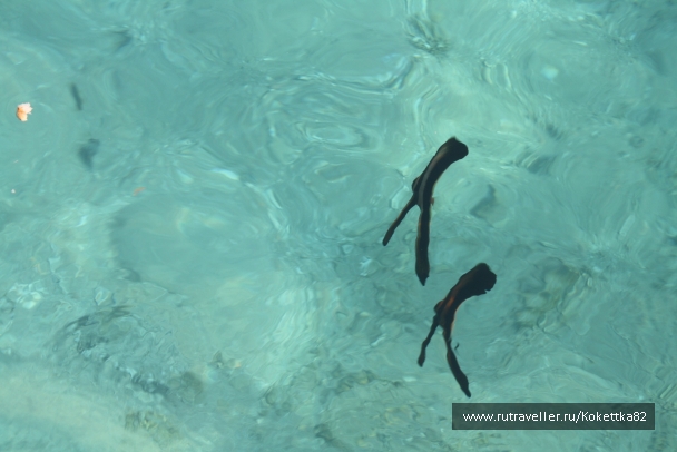 photo 828764