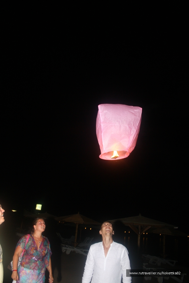 photo 828787