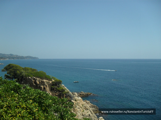 photo 478844