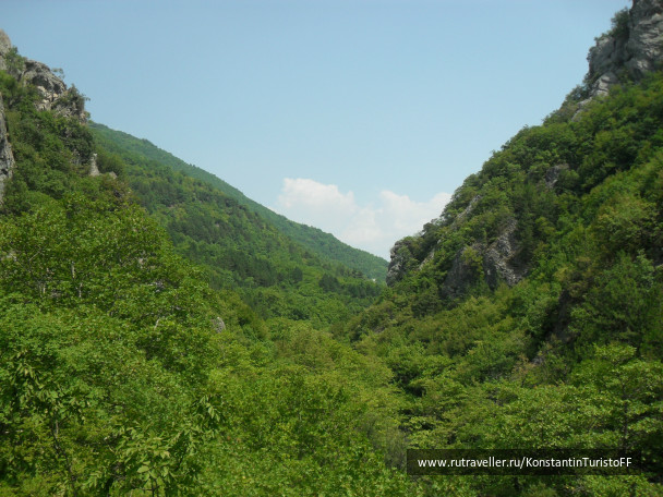 photo 478863
