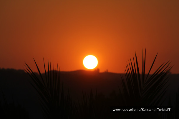 photo 478867