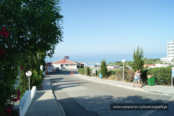 photo 1288016