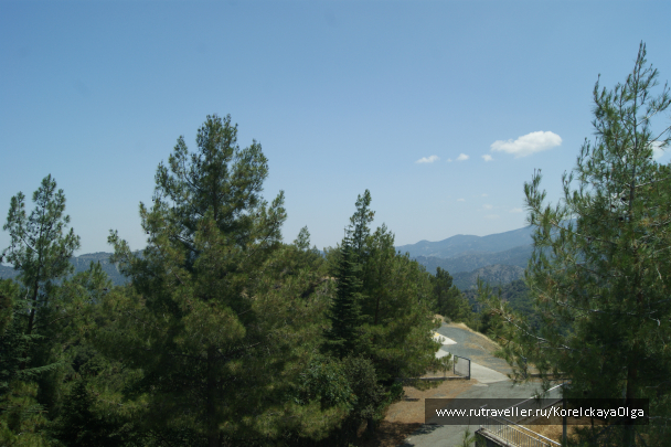 photo 1288040