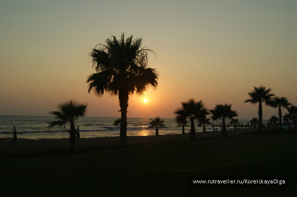 photo 1288041