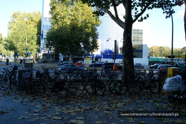 photo 1288586